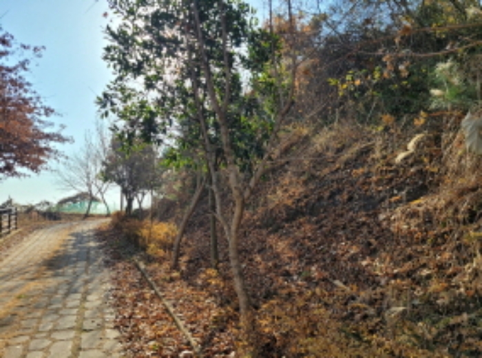 사진 12