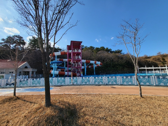 사진 112