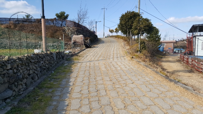 사진 118