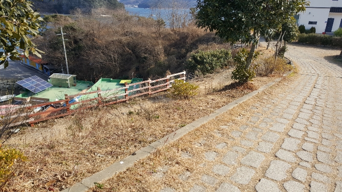 사진 119