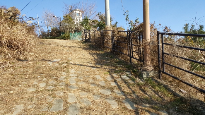 사진 120
