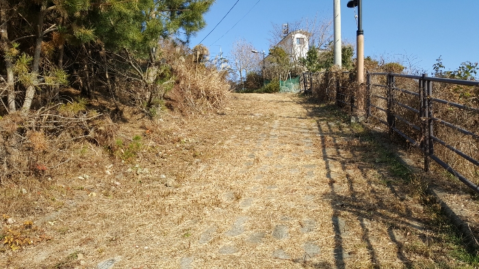 사진 121