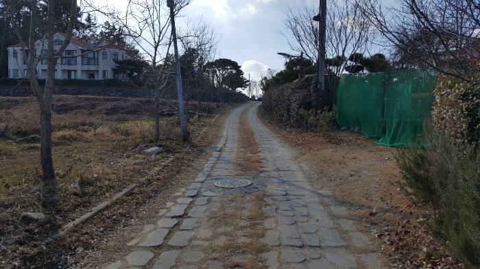 사진 122