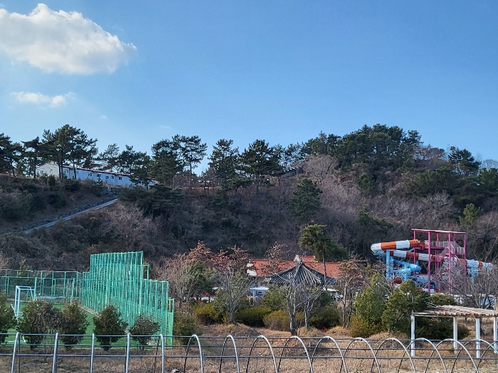 사진 123