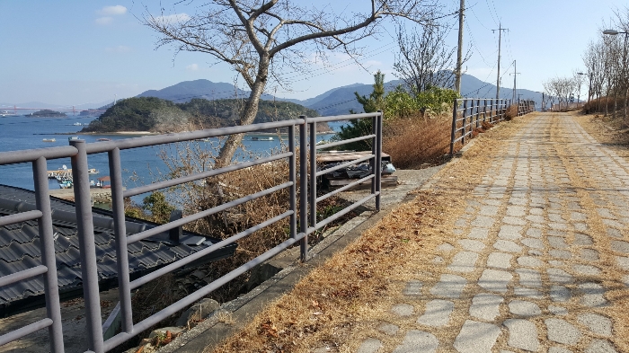 사진 126