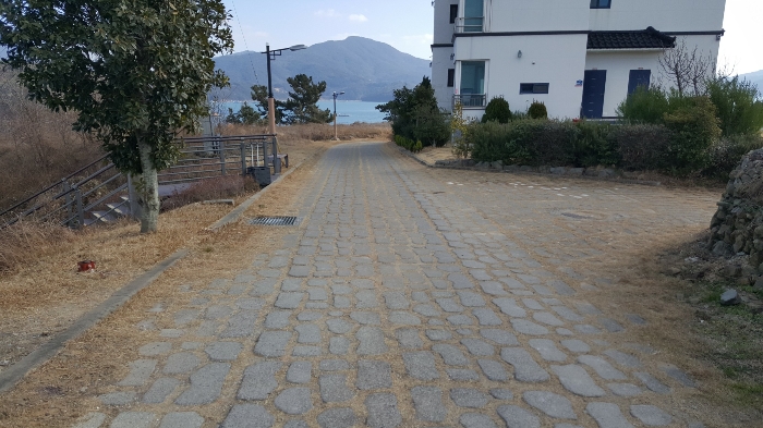 사진 127