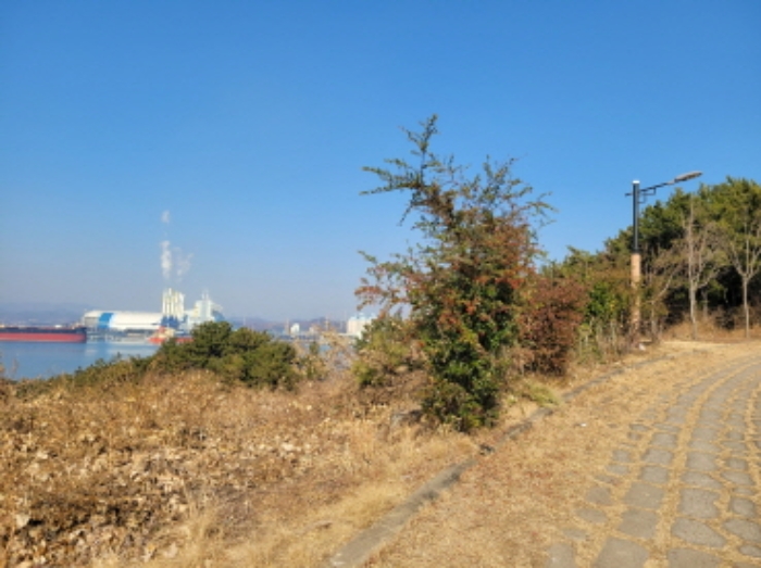 사진 14