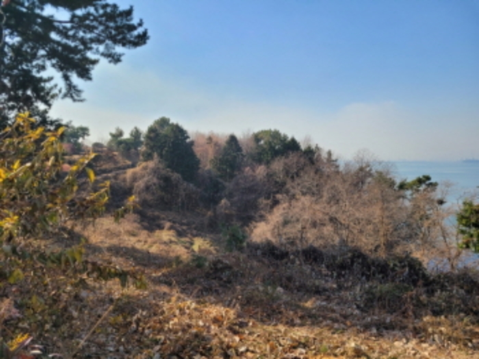 사진 15