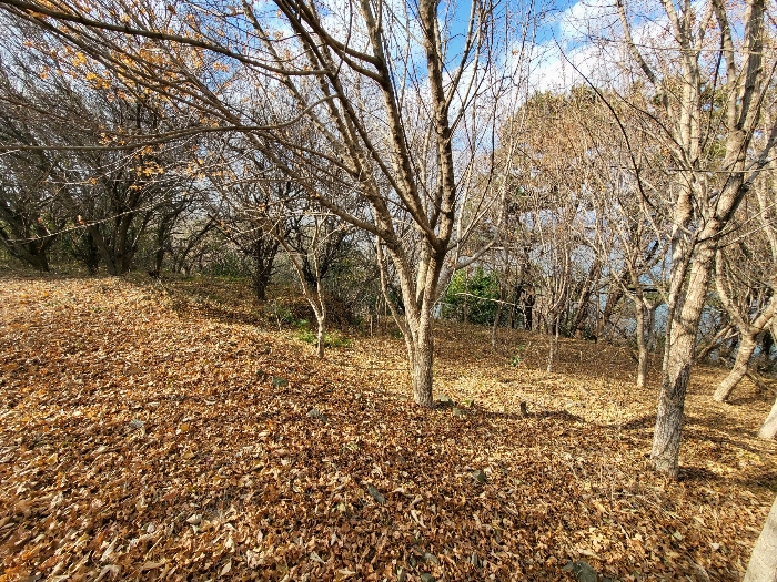 사진 141