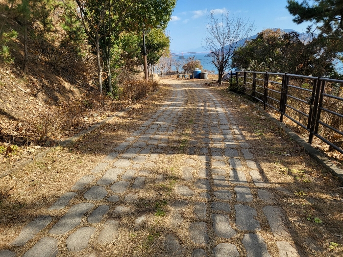 사진 143
