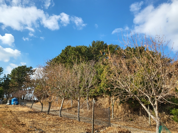 사진 147