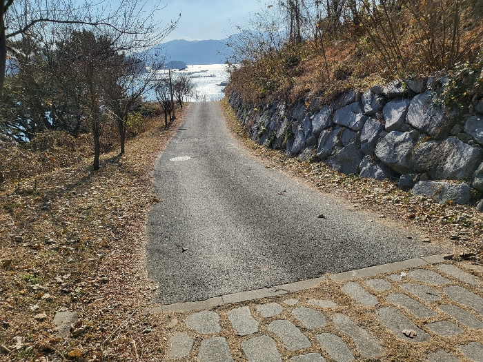 사진 149