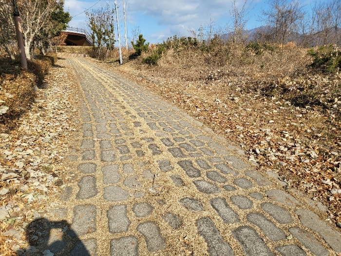 사진 150