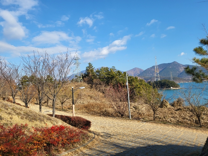 사진 157
