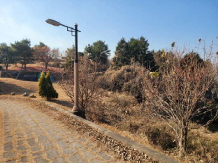 사진 17