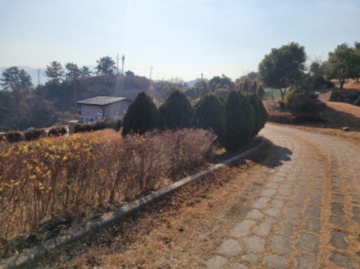 사진 18