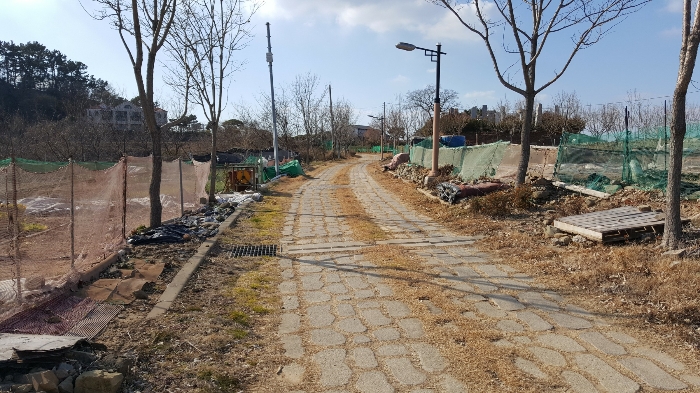 사진 171
