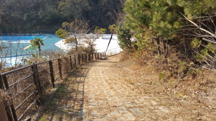 사진 172