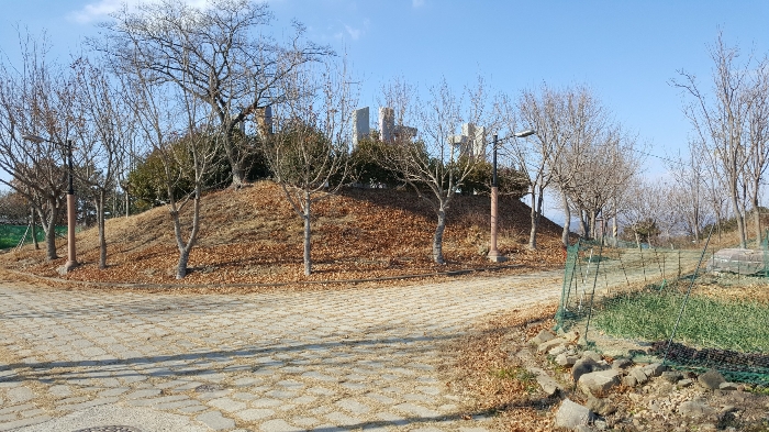 사진 174