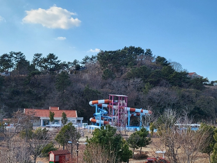사진 175