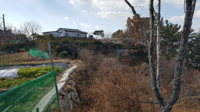 사진 178