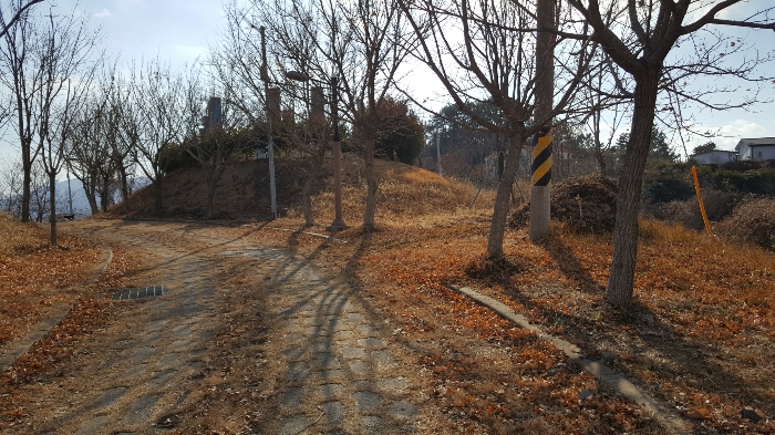 사진 179