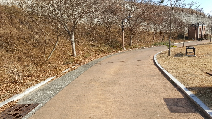 사진 181