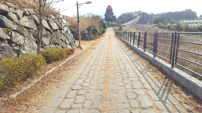 사진 182