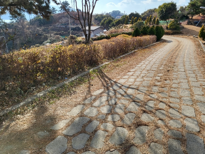 사진 191