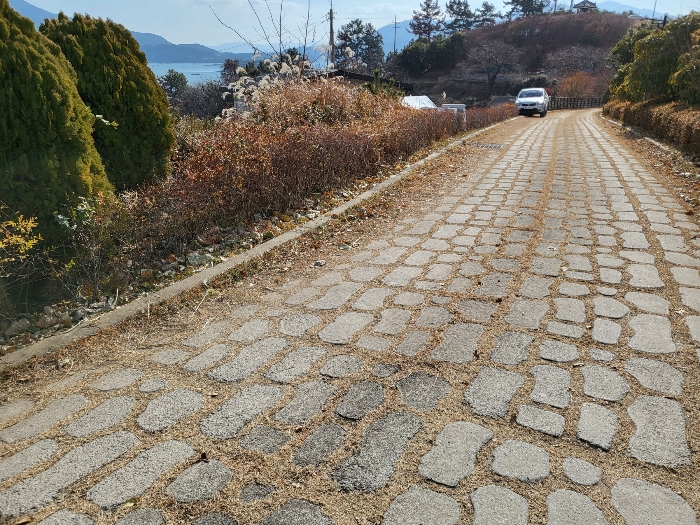 사진 192