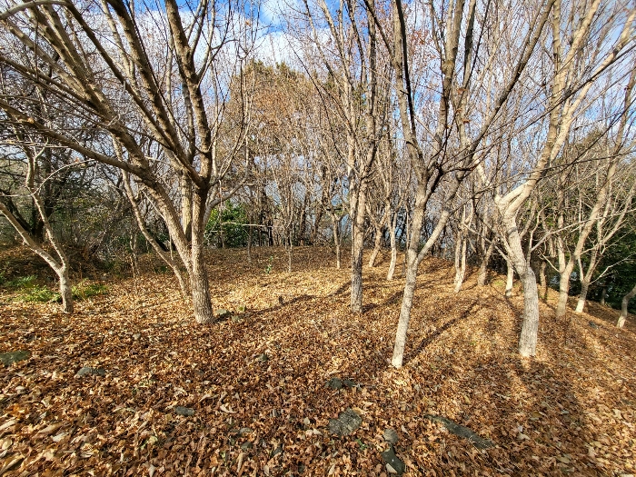 사진 194