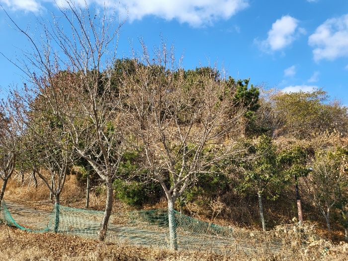 사진 197