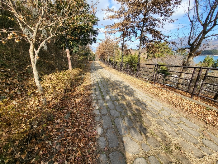 사진 198