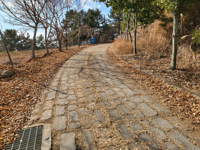 사진 200