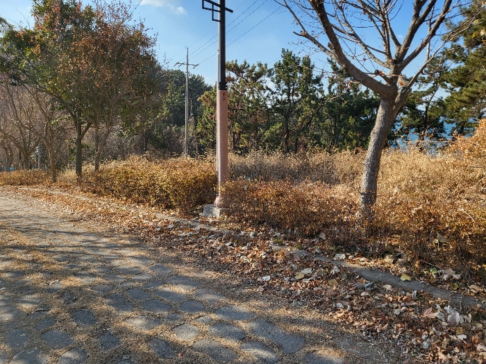 사진 201