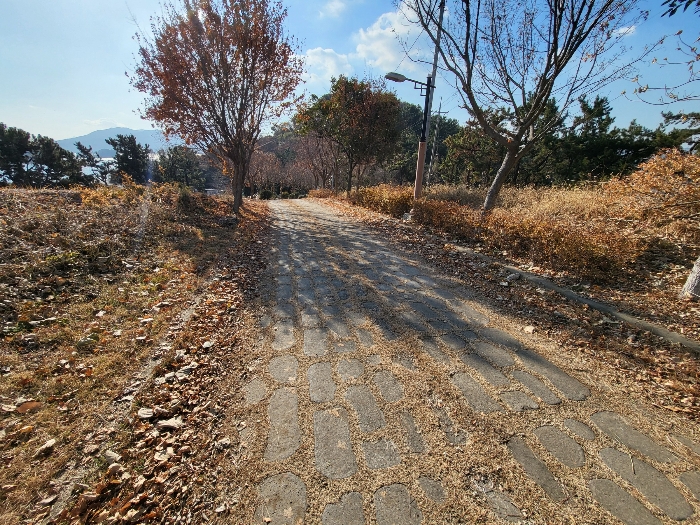 사진 203