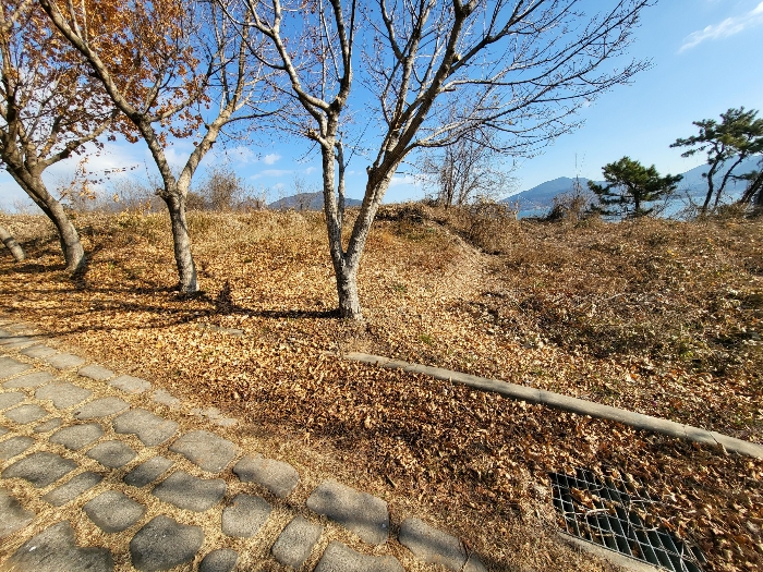 사진 204