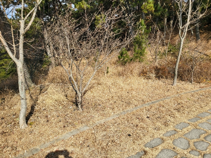 사진 206