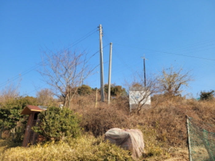 사진 27