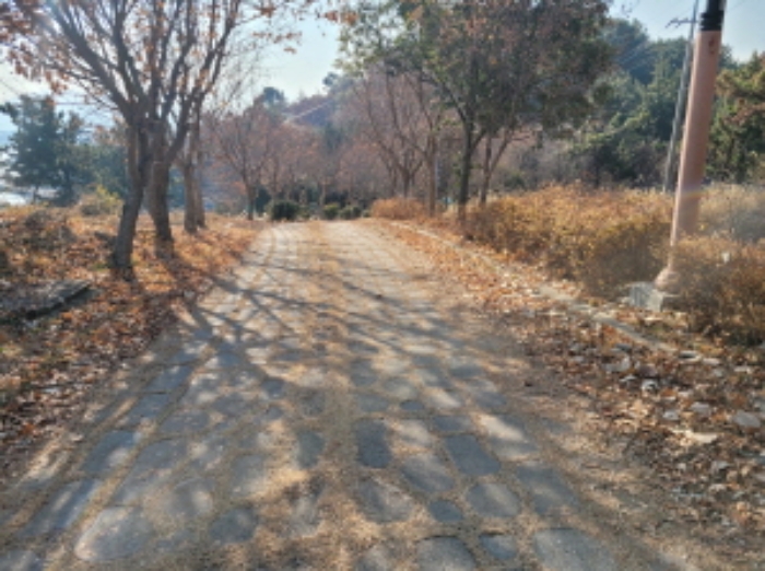 사진 4