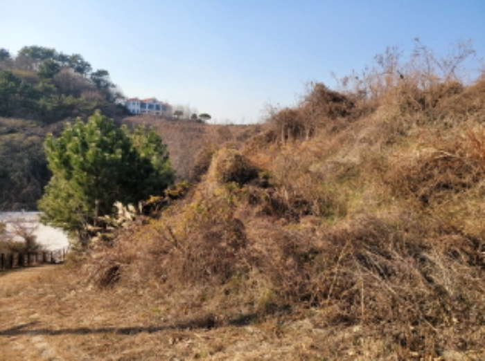 사진 33