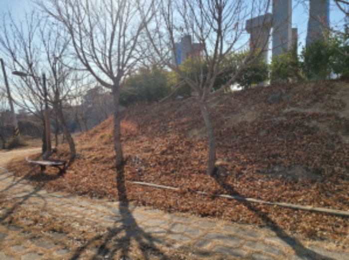 사진 34