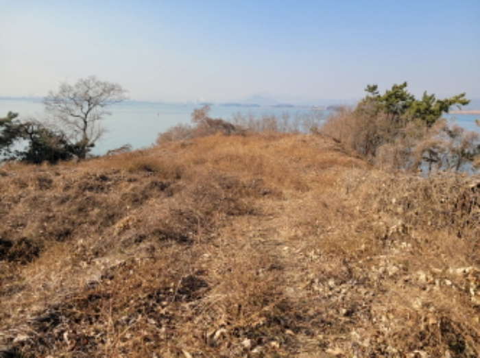 사진 39