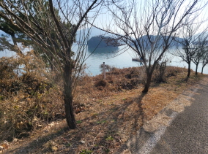 사진 5