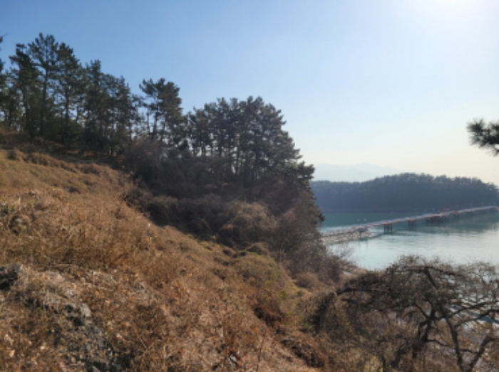 사진 41