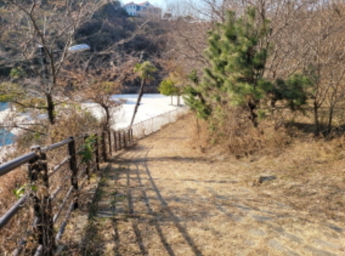 사진 50