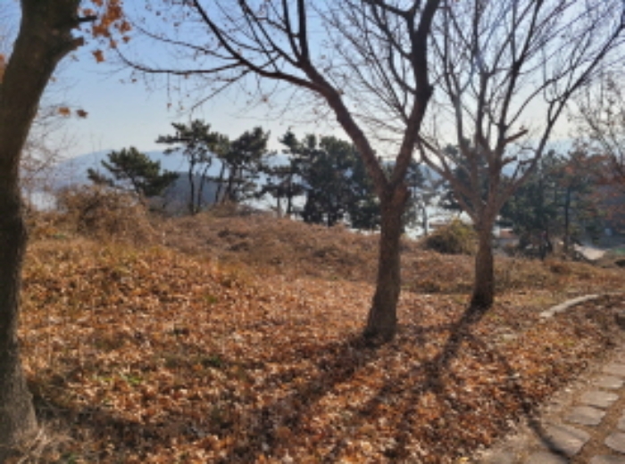 사진 6