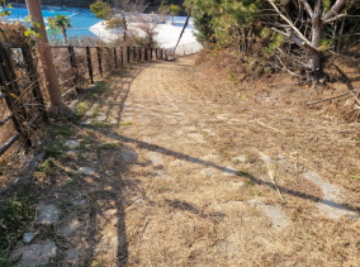 사진 51