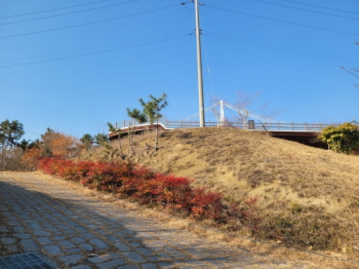 사진 52