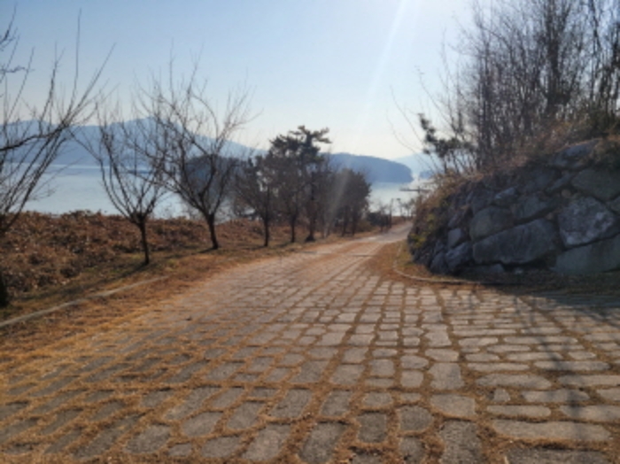 사진 53